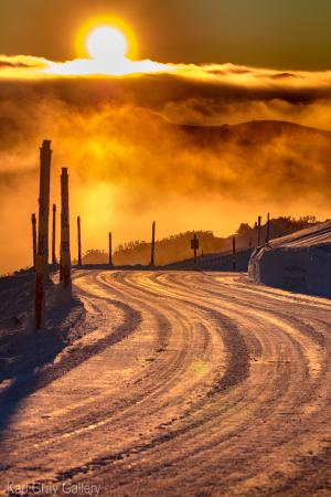golden road mount hotham australia snow print - Karl Gray