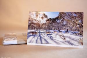 Out for a Slide with the Dogs - Set of 5 Greeting Cards - Karl Gray