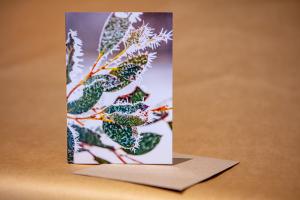 Morning tinsel karl gray alpine christmas cards - Karl Gray